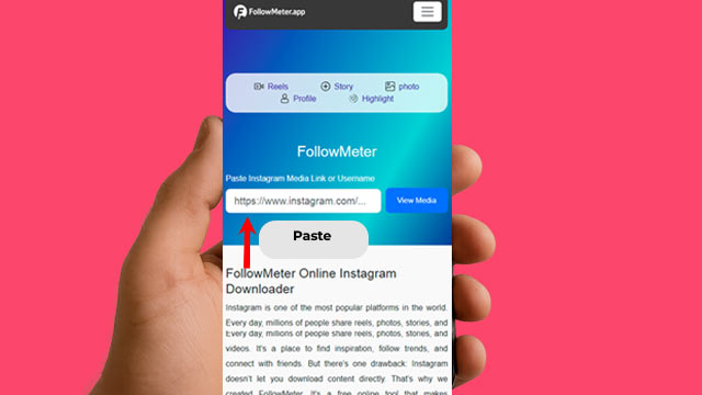FollowMeter Online Instagram Downloader Paste Url