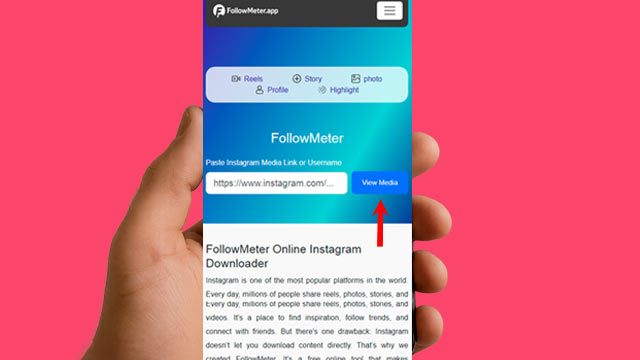 followmeter web Instagram Downloader