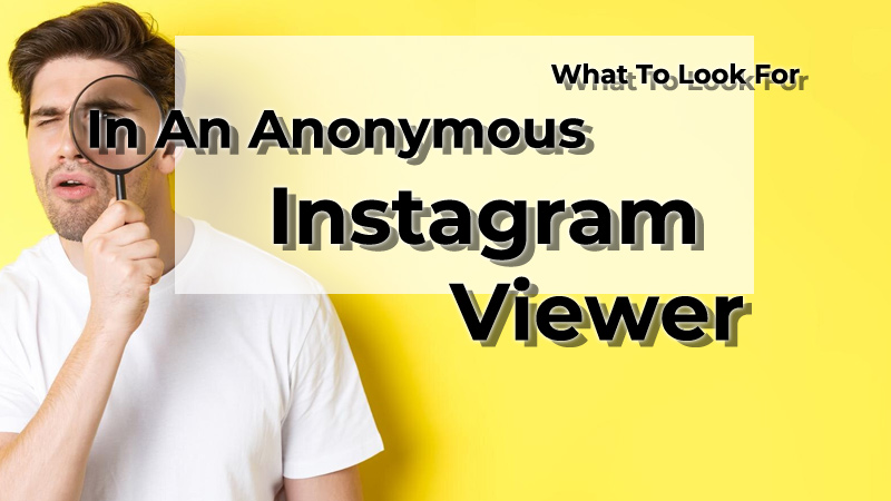 What to Look for in an Anonymous Instagram Viewer