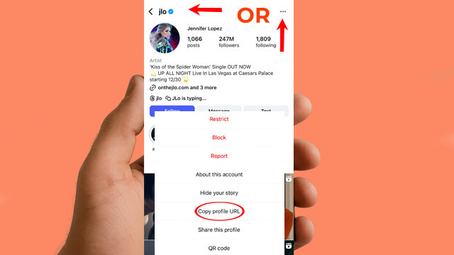 Instagram Bio Downloader