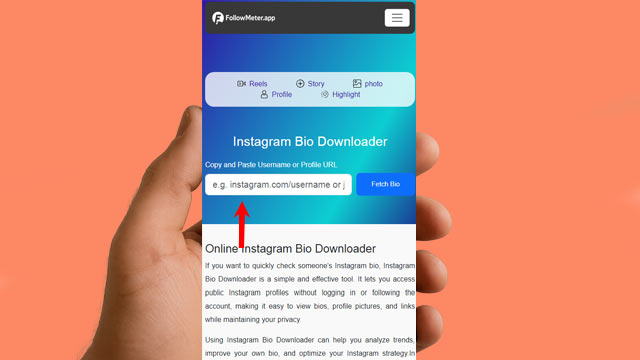 Paste Username into Instagram Bio Downloader