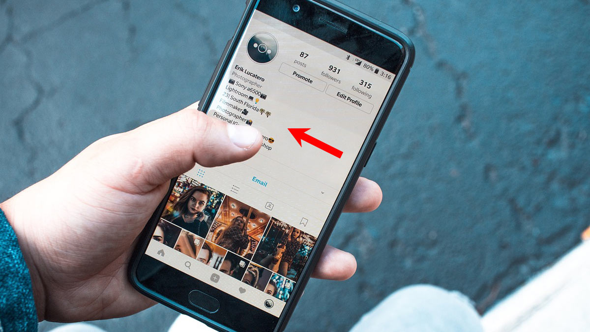 Instagram Bio Downloader