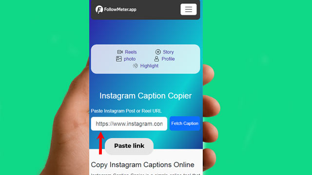 Paste the copied link into the input box