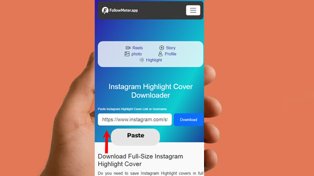 Copy and Paste the Instagram link or username