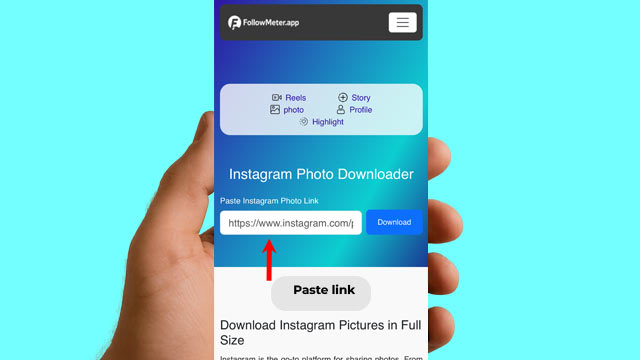 Paste the copied link into Instagram Photo Downloader 