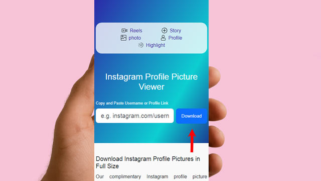 Click Download to save the Instagram profile picture in HD