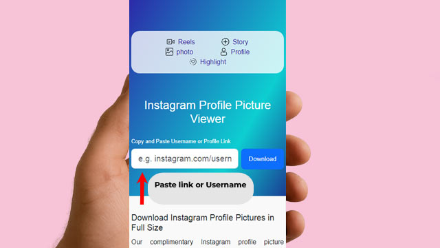 Enter the username or URL into Instagram Profile Picture Viewer
