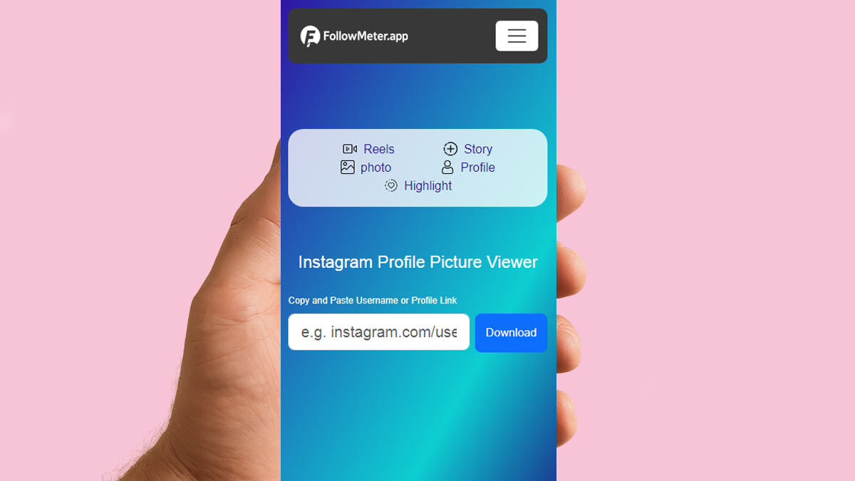 Instagram Profile Picture Viewer