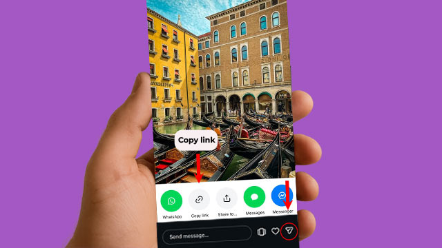 Instagram Story Downloader Copy link