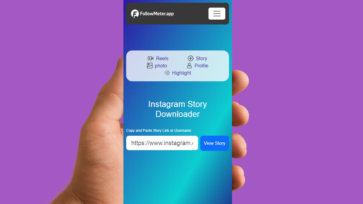 Online Instagram Story Downloader