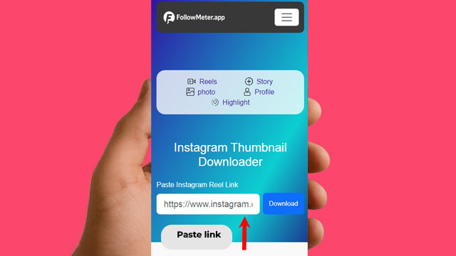 Paste link into Instagram Thumbnail Downloader