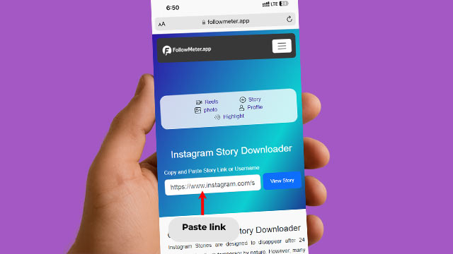 Paste Story link to Download Instagram Story
