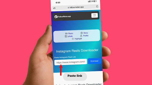 Paste Instagram Reel link