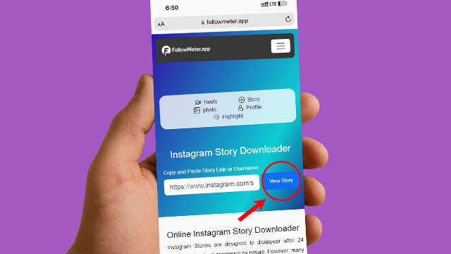 Download and View Instagram Story link